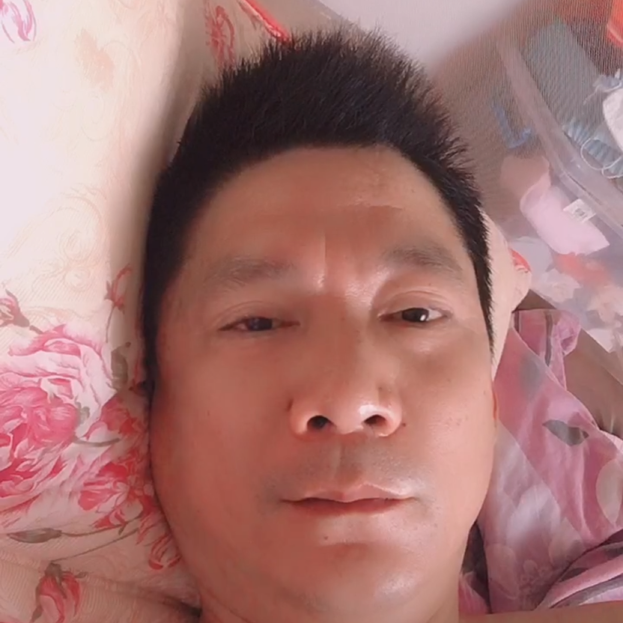 猫咪等待漠然的照片