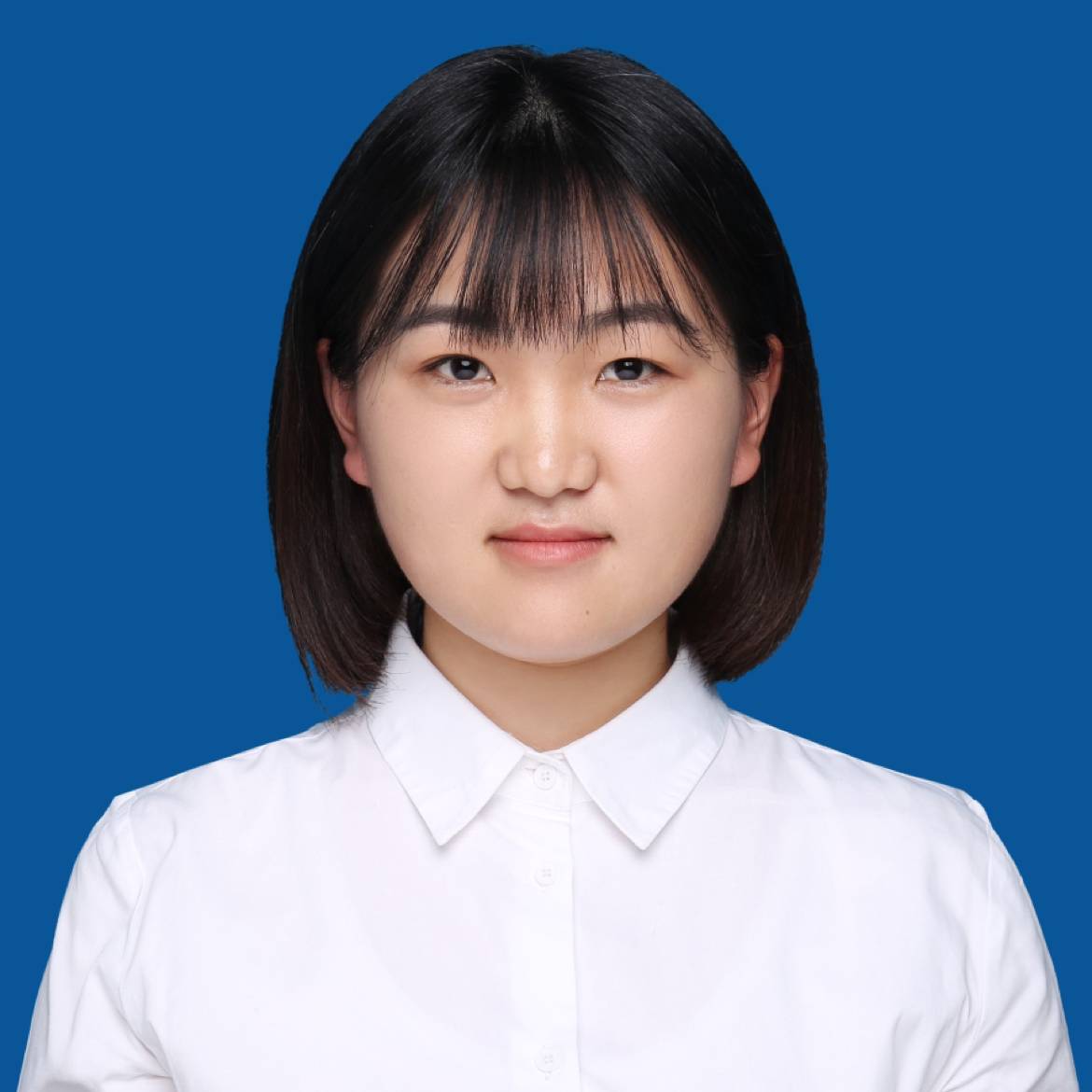 冷静改变小海豚的照片