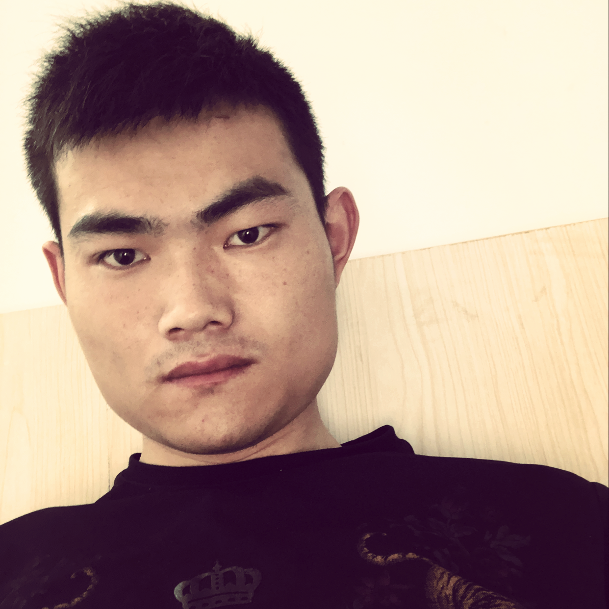 。。。金。。。的照片