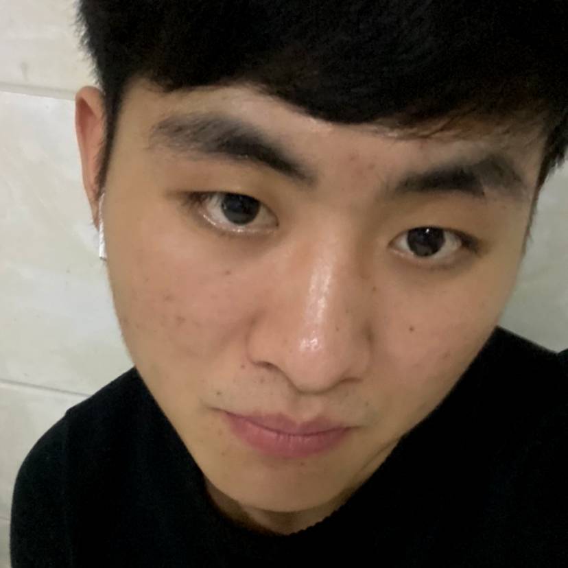 小熊猫真憨的照片