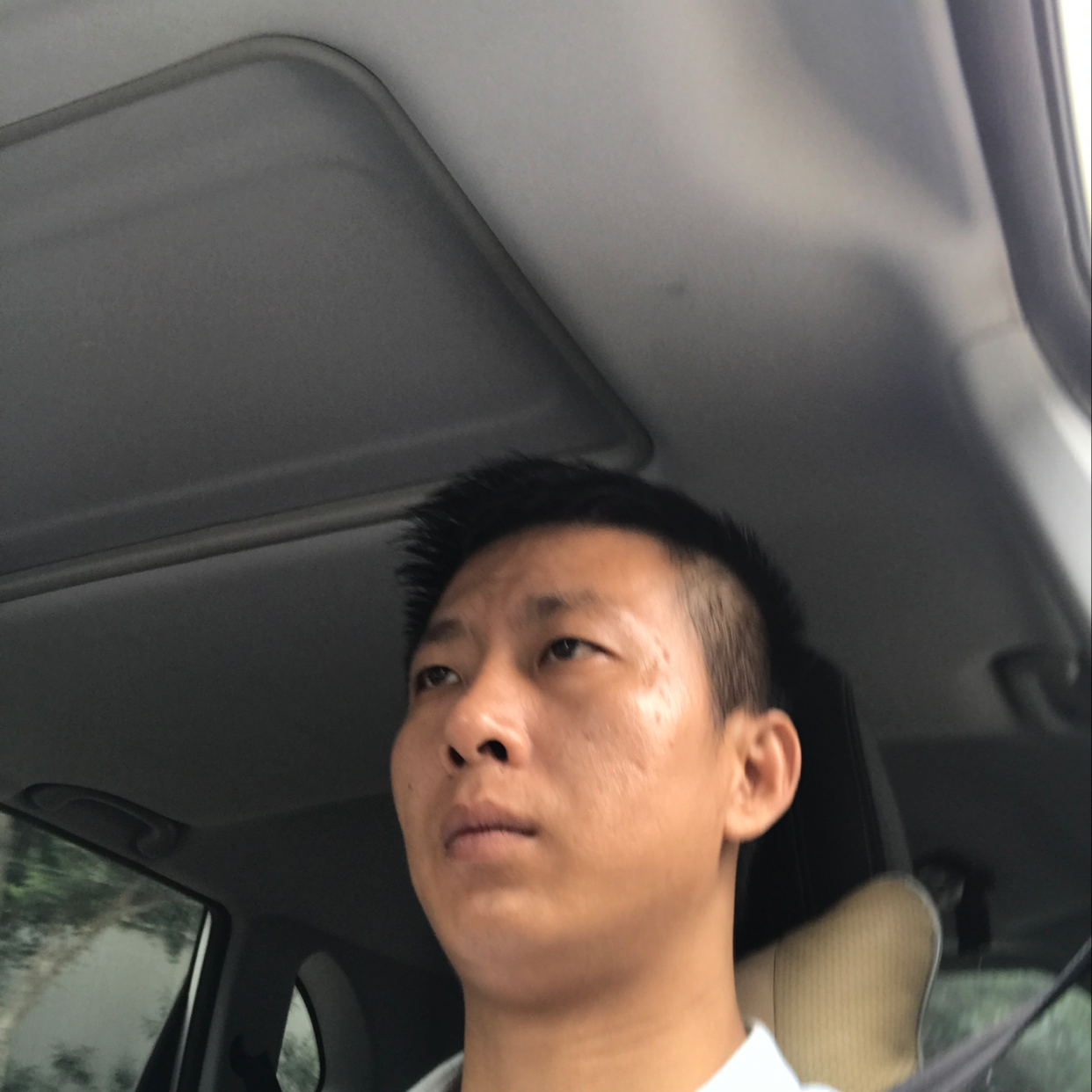 随风波动的照片