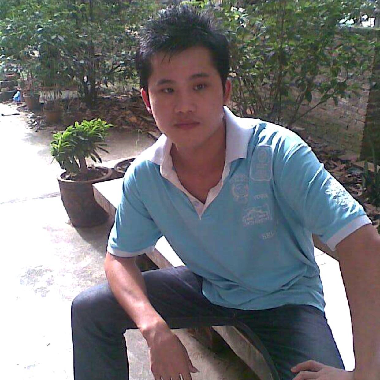 文艺与大雁的照片