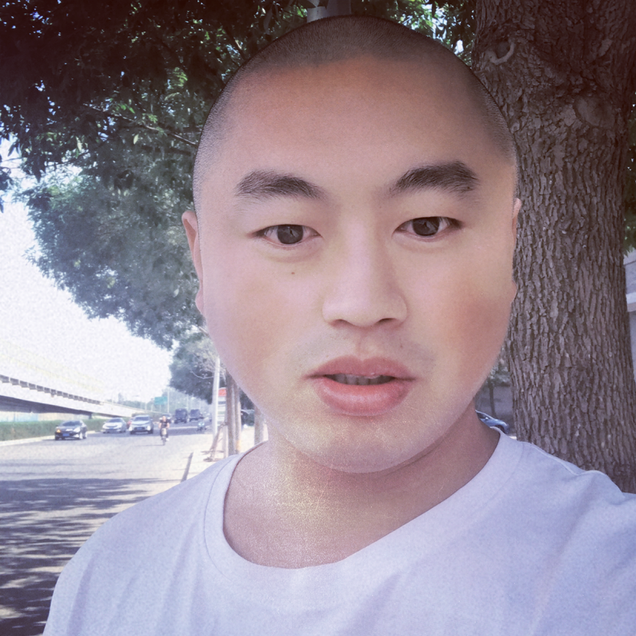 端庄与大门的照片