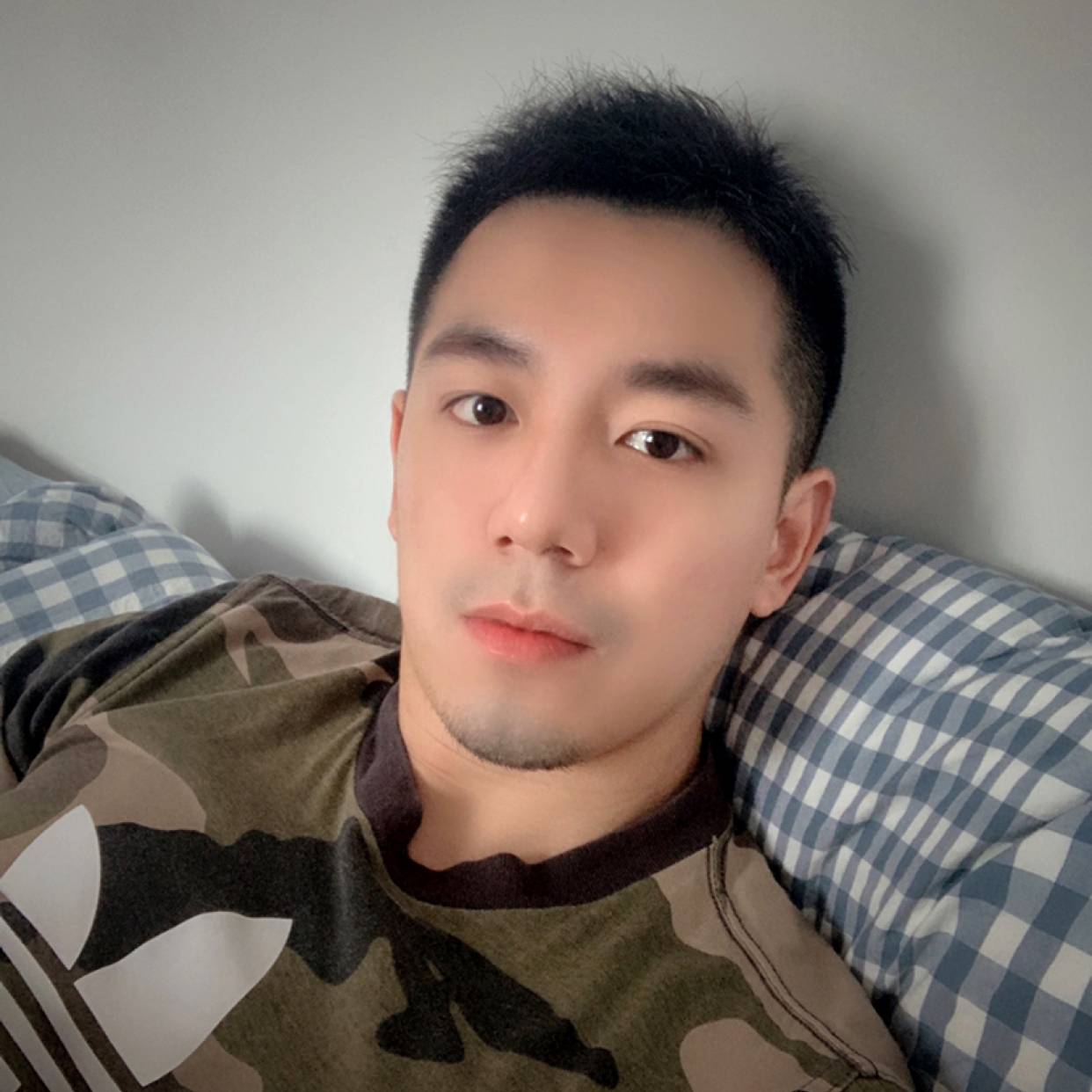 向着太阳的向日葵的照片