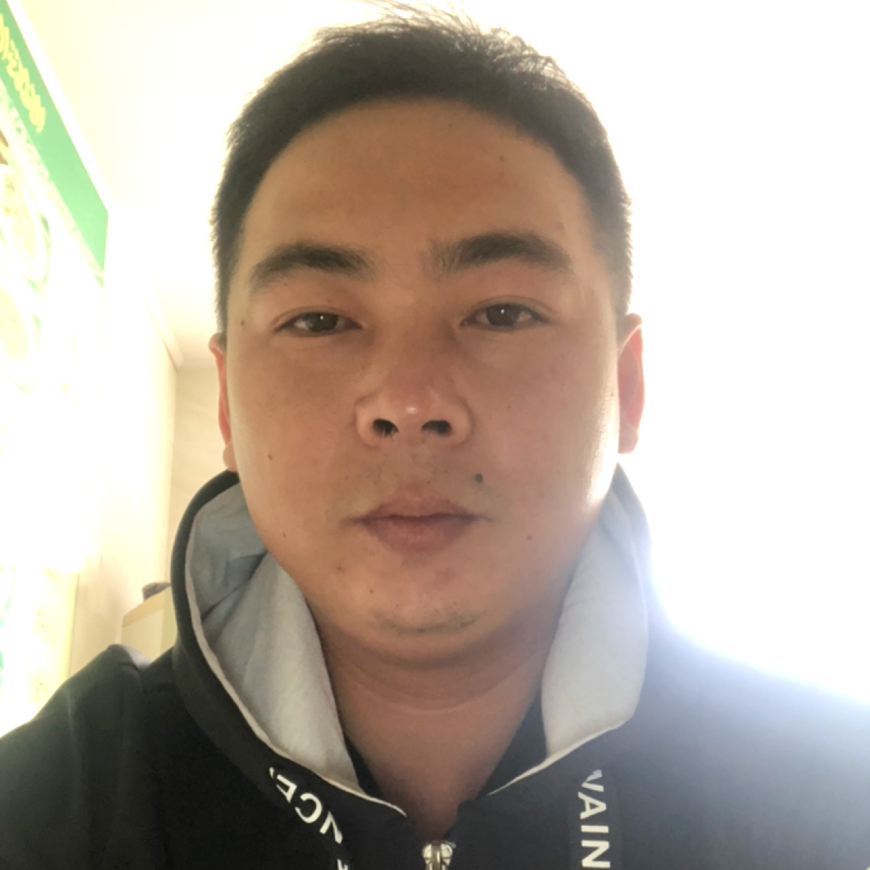 鼠标落寞的照片