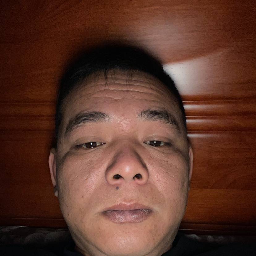 怕黑和狗的照片