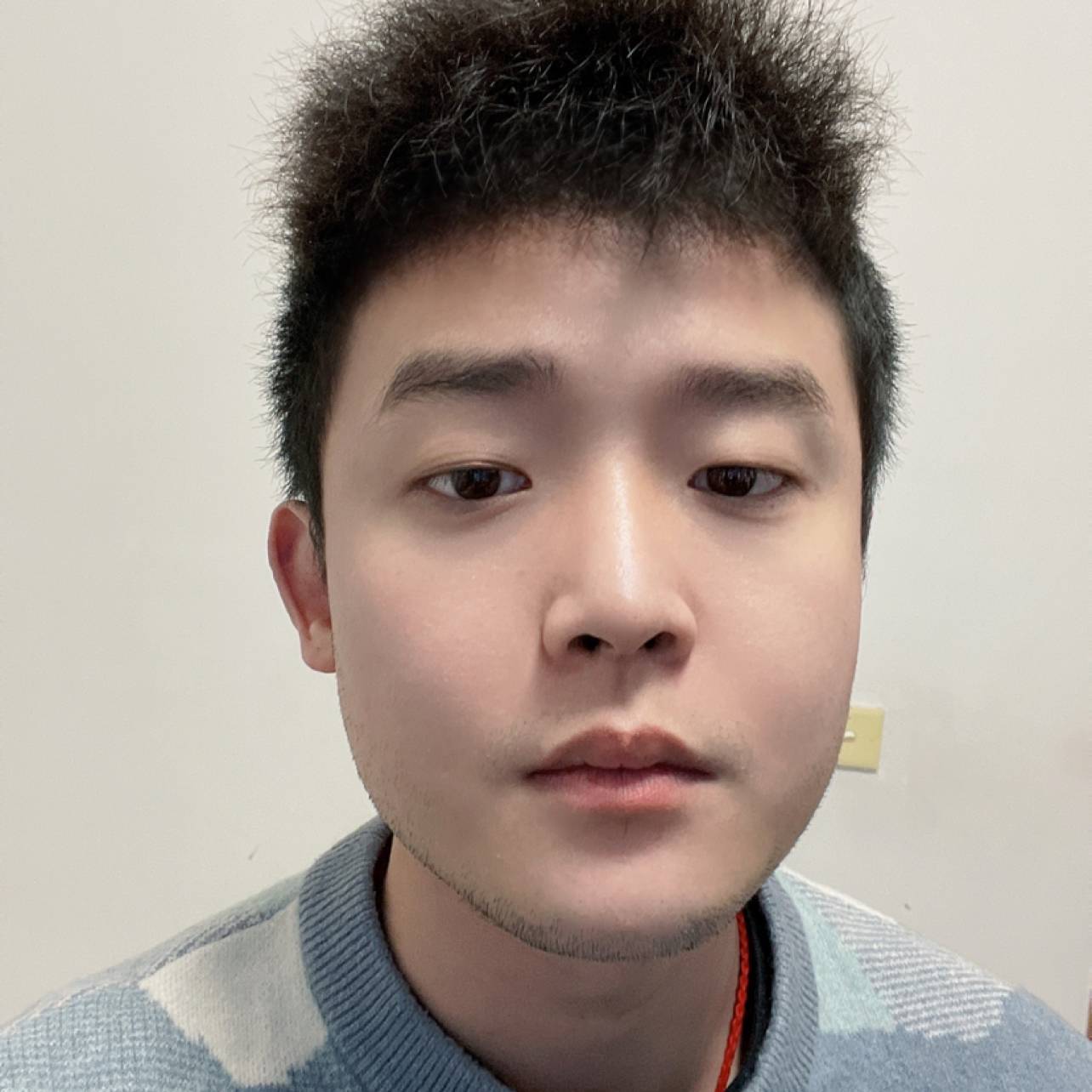 灰狼爱高高的照片