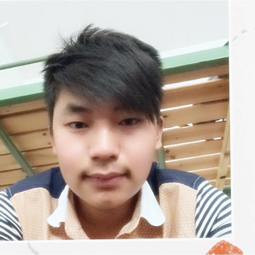 树叶相许欣慰的照片