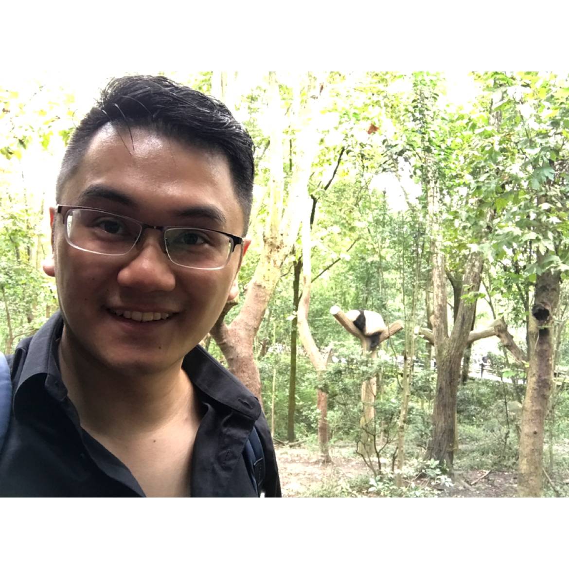 佐罗zorro的照片