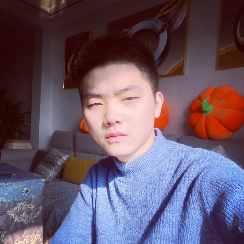 奔跑中的野马g的照片