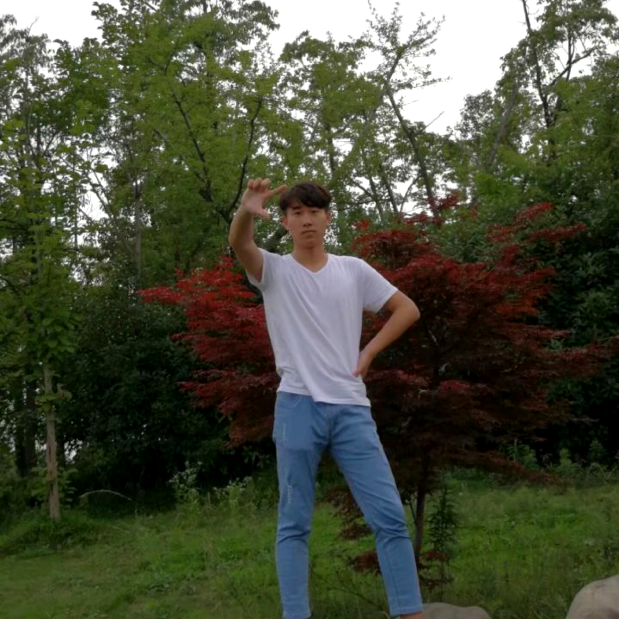 星雨倾心迷路的照片