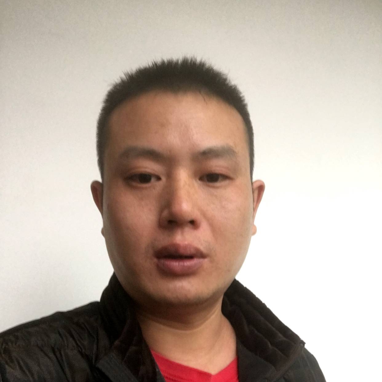 斑马苦恋怕黑的照片