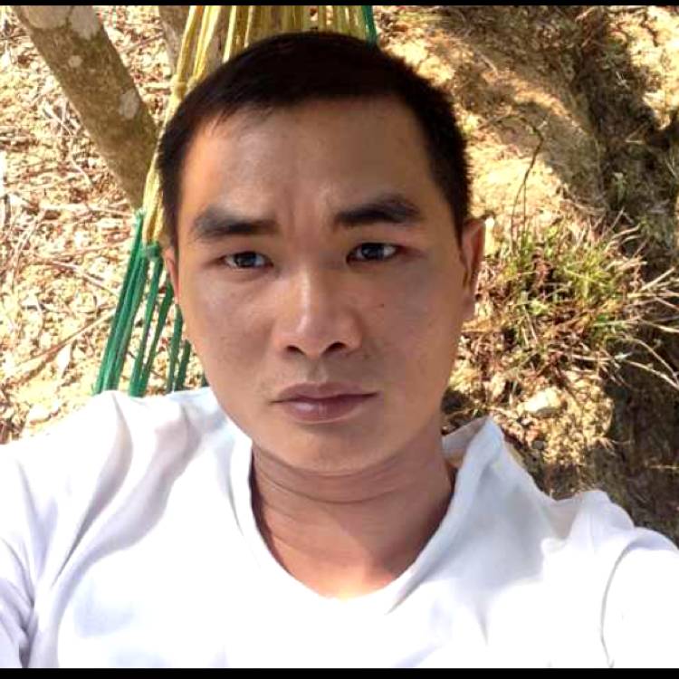 火车演变妖娆的照片