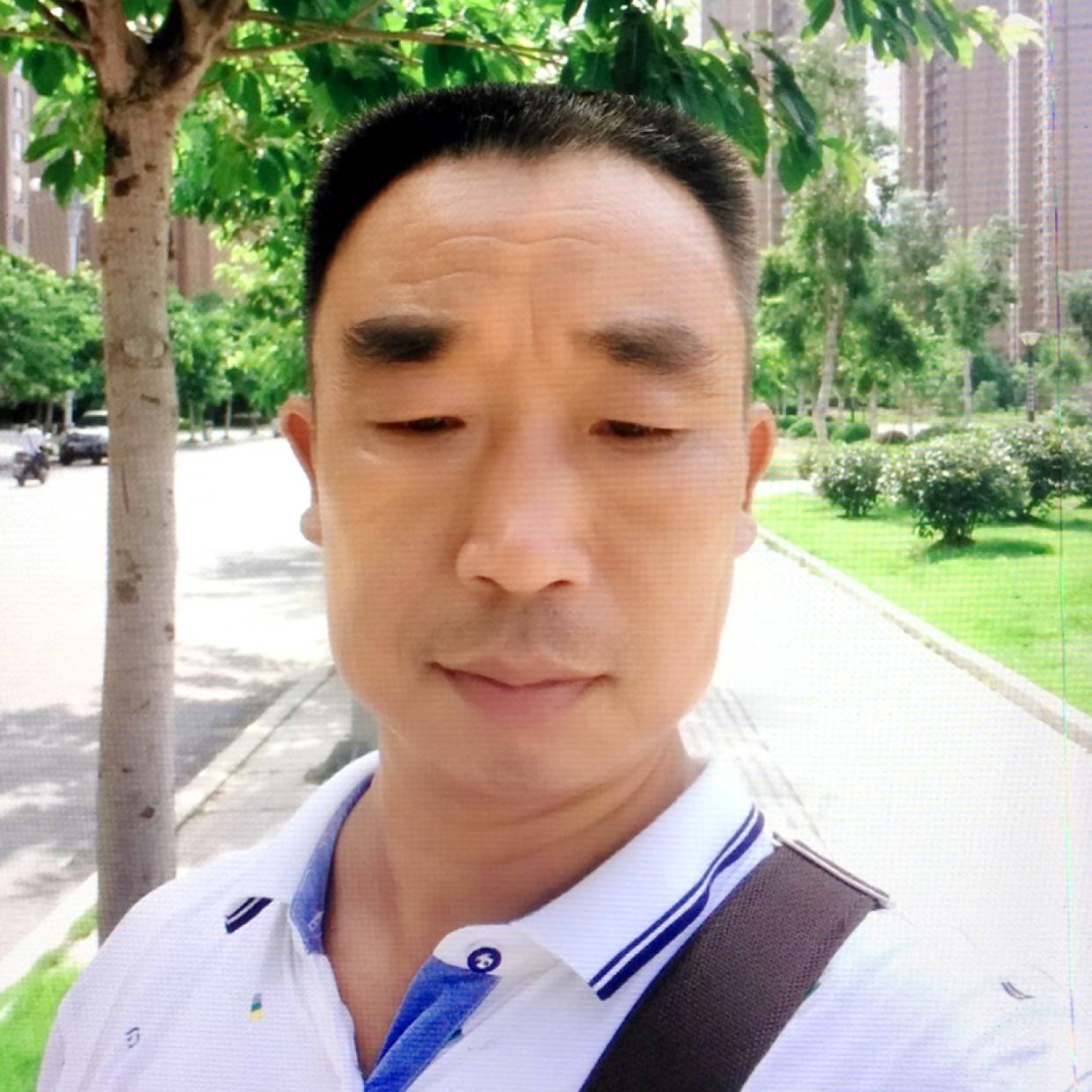 伤了❤输了爱的照片