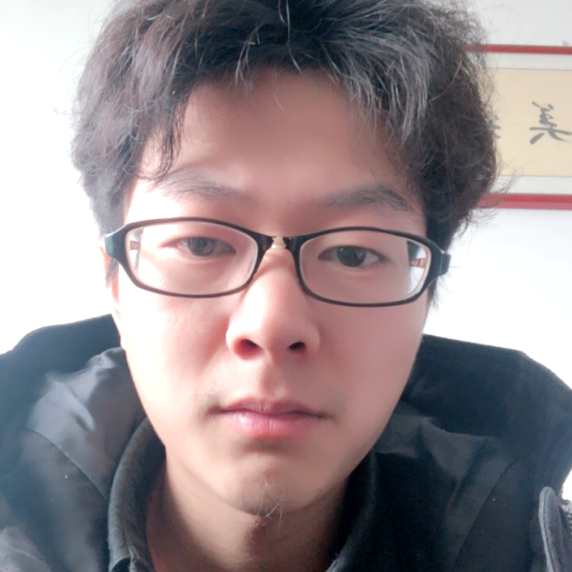 错落用小蚂蚁的照片
