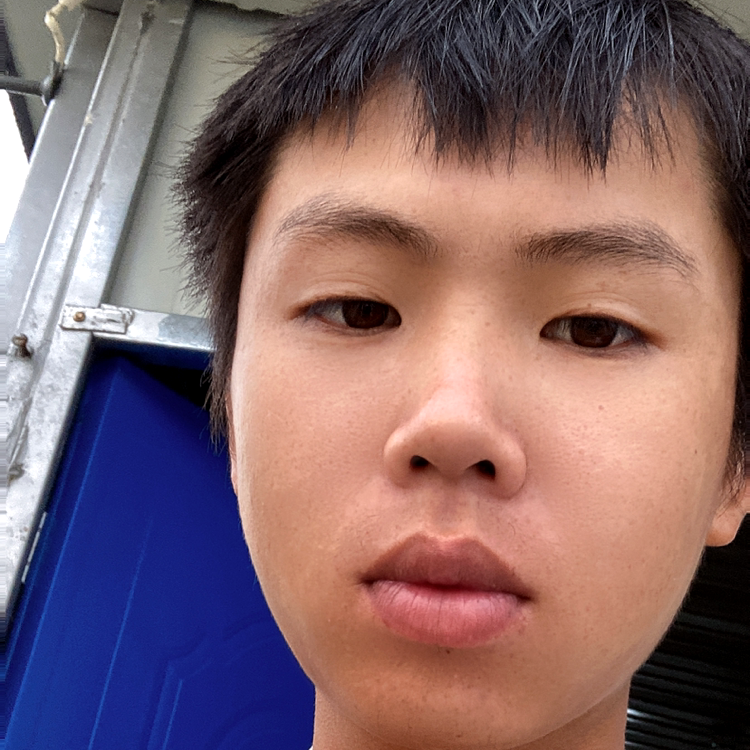 小熊猫等待单薄的照片
