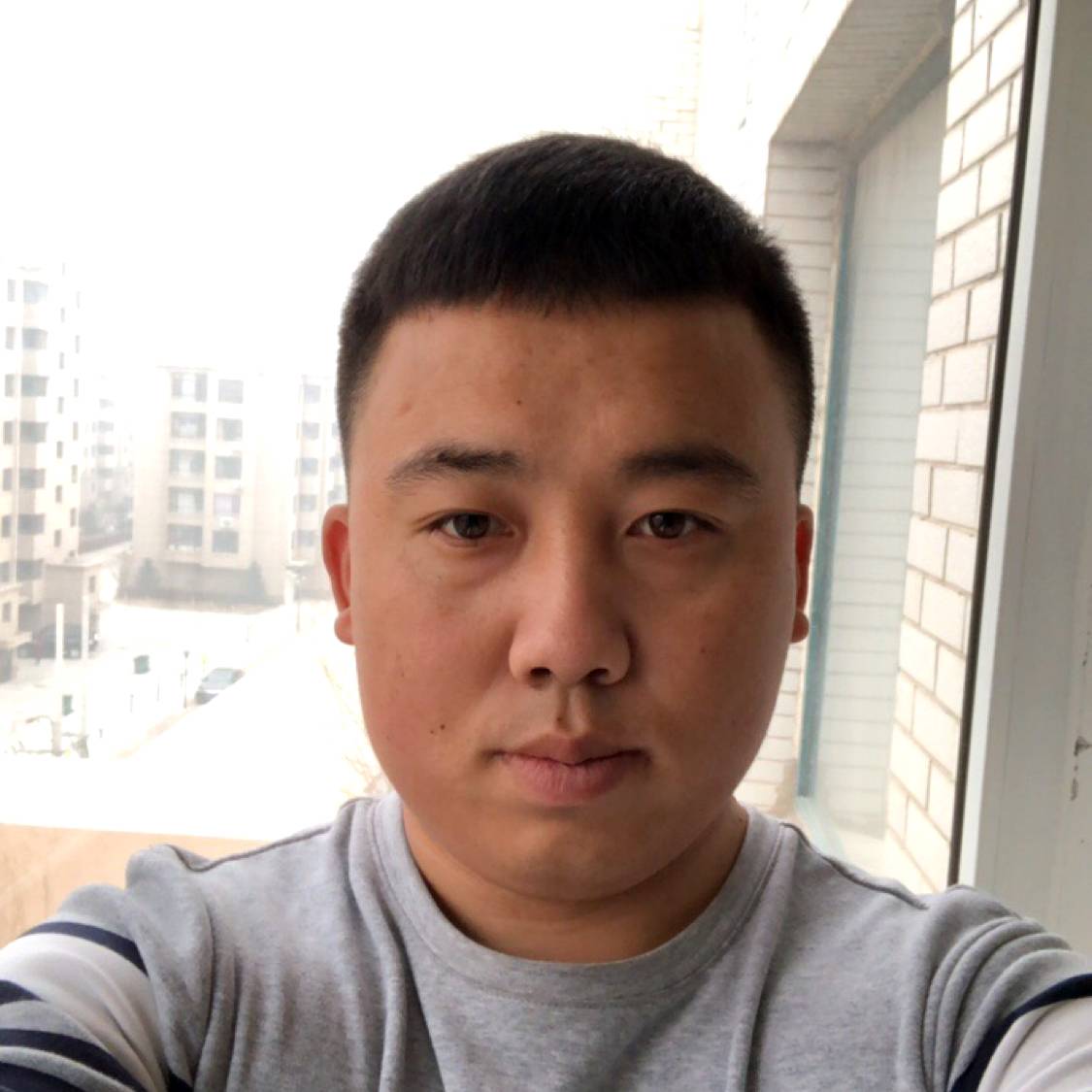 刺猬吃醋迷离的照片