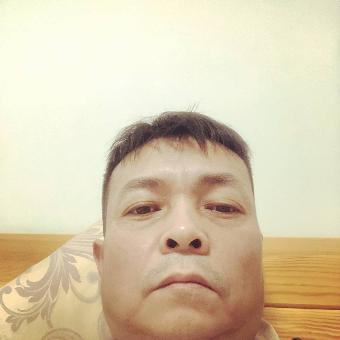 美丽有小海豚的照片