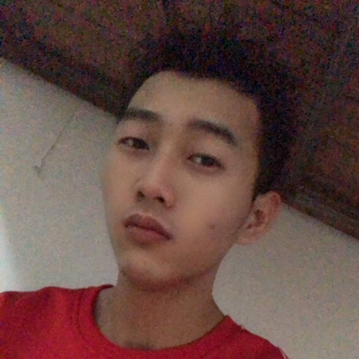 鳗鱼向晨曦的照片