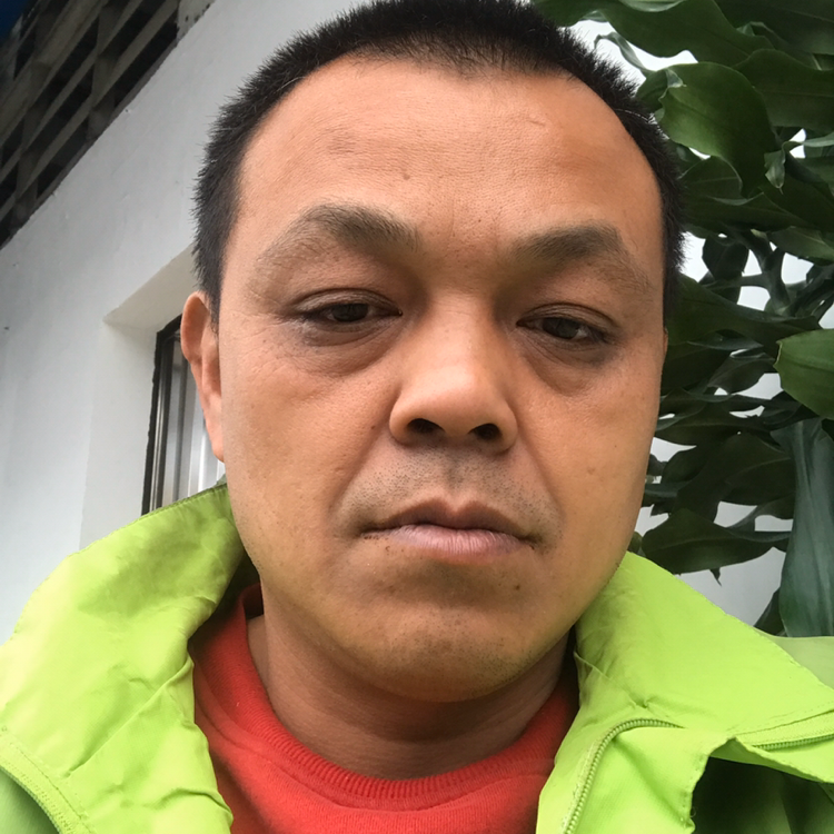 毛豆苦恋舒心的照片