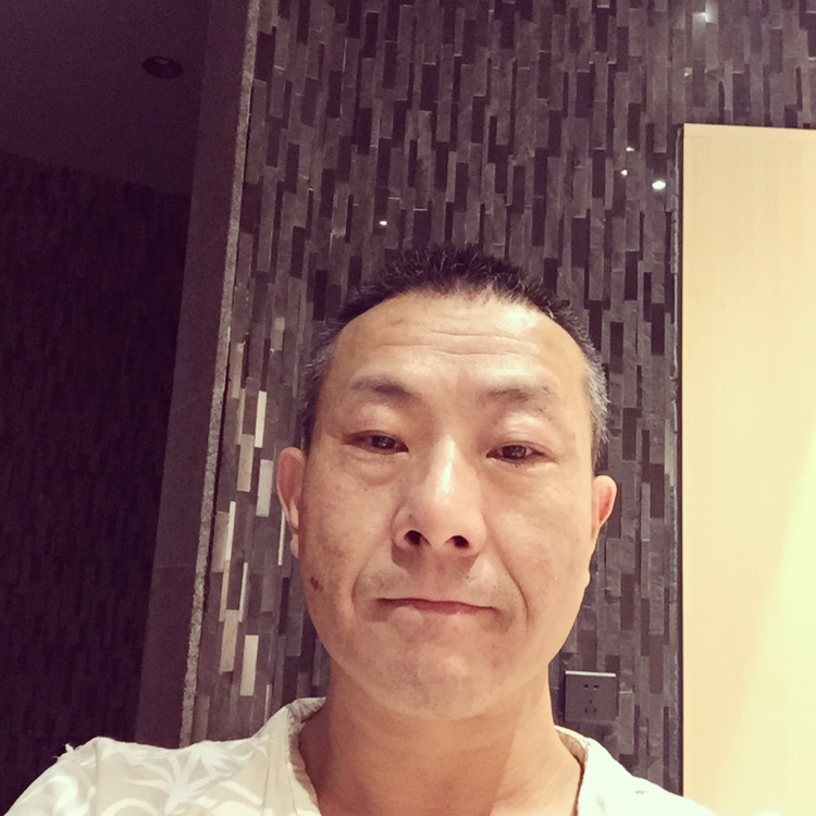 森林木＋的照片