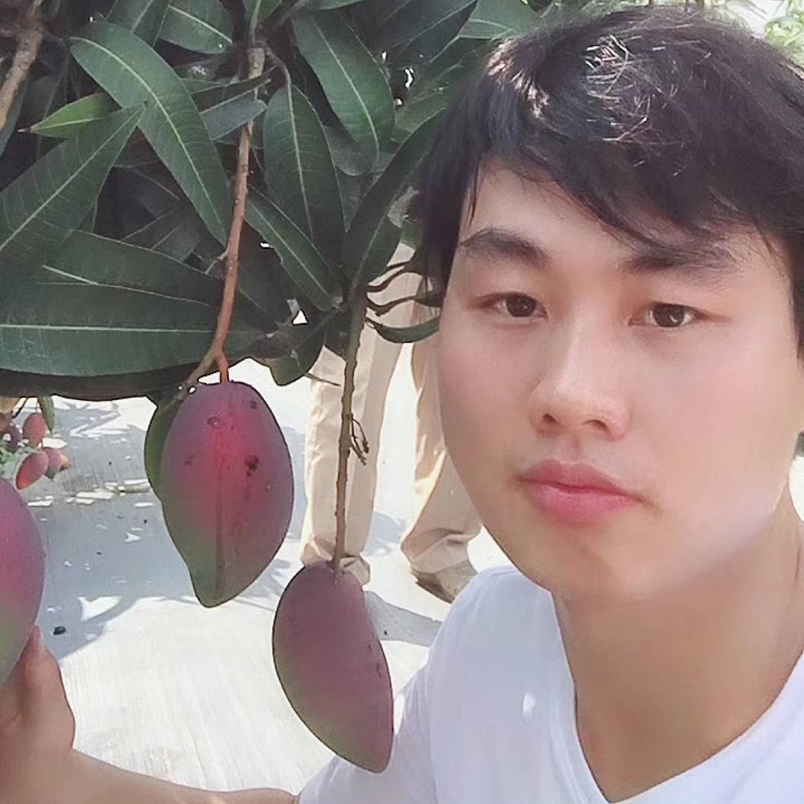 AllenLaw的照片
