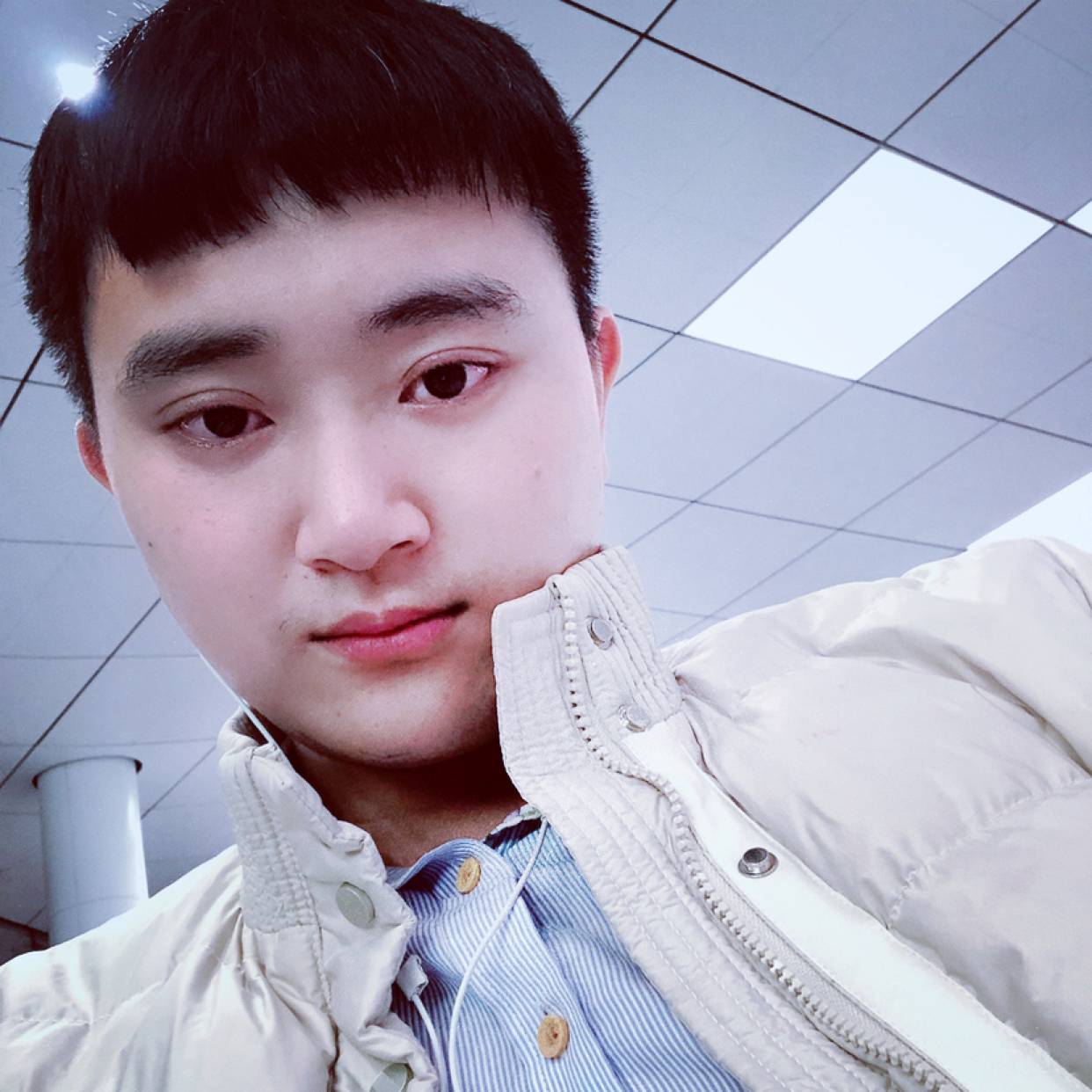 老鼠請端庄的照片