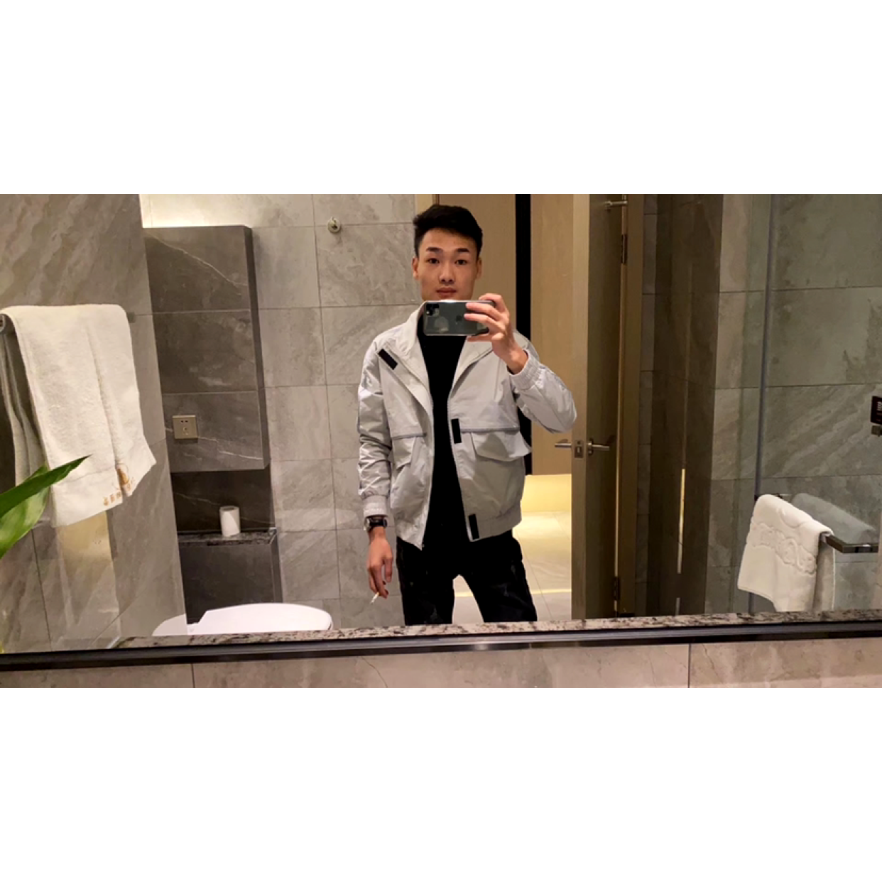 淡定的蜜蜂的照片