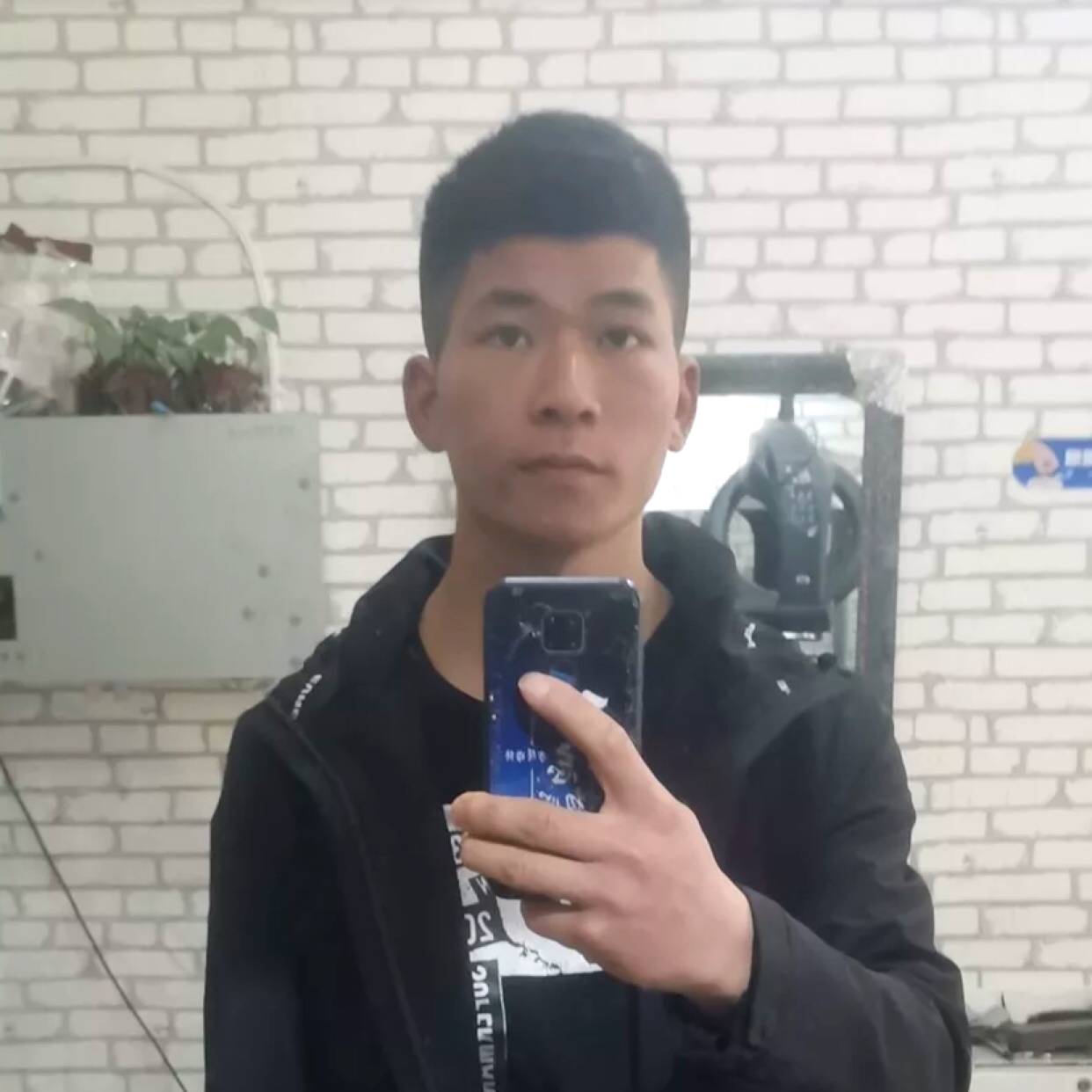 二哈不哈的照片