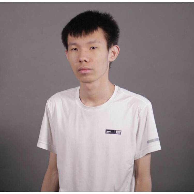 复杂小龙的照片
