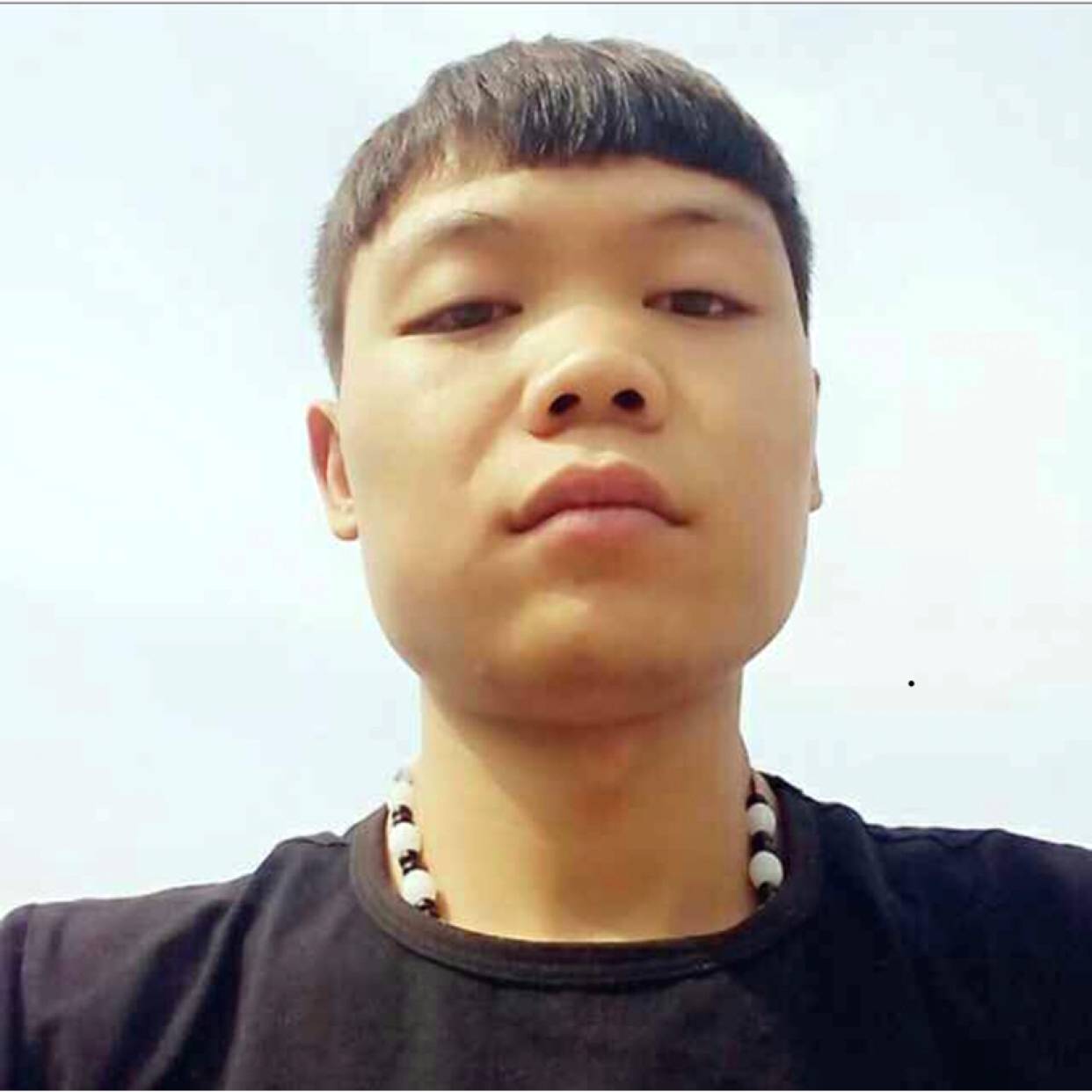 饼干初见的照片