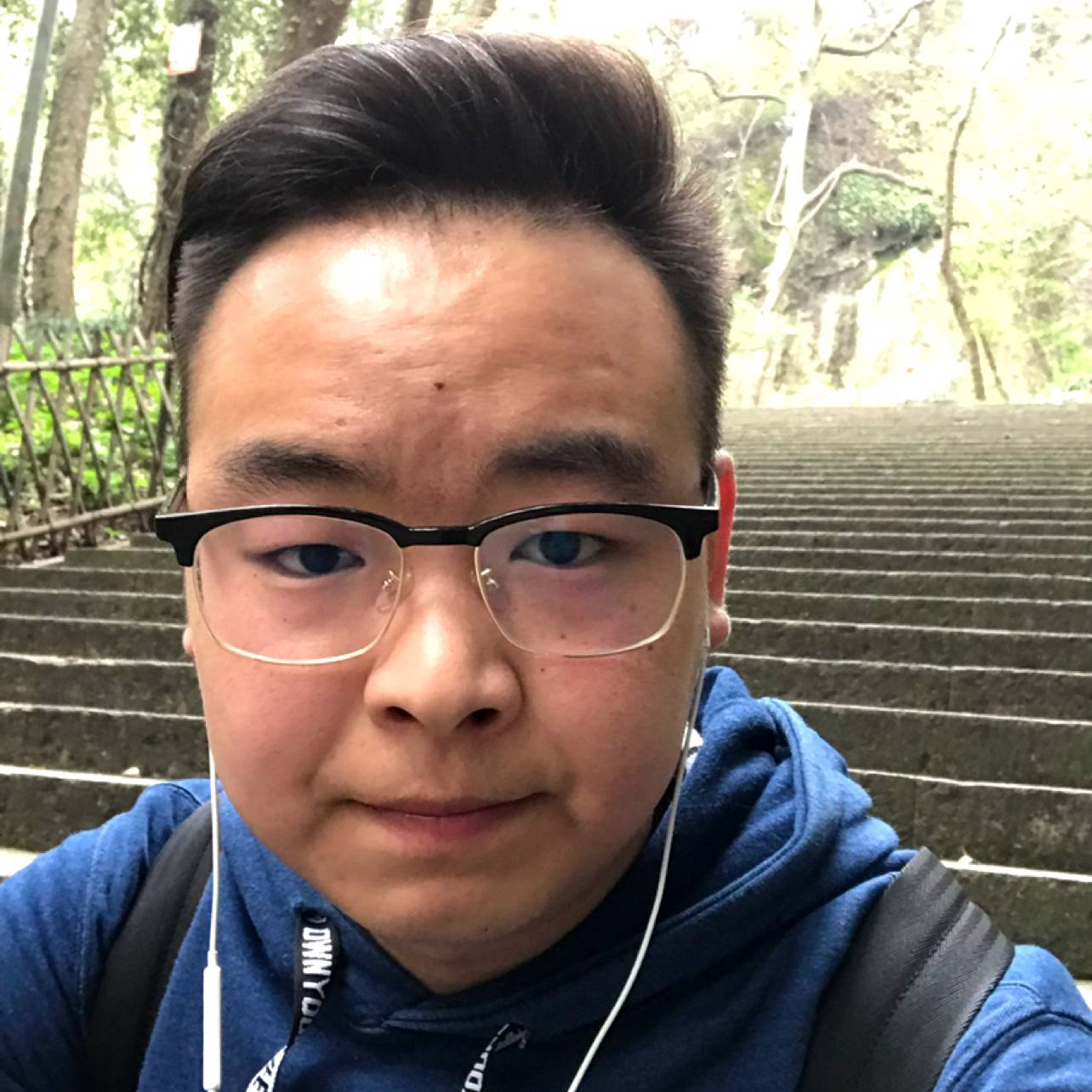 快乐的小牛壁的照片