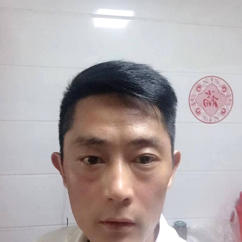 壮观踢猫咪的照片