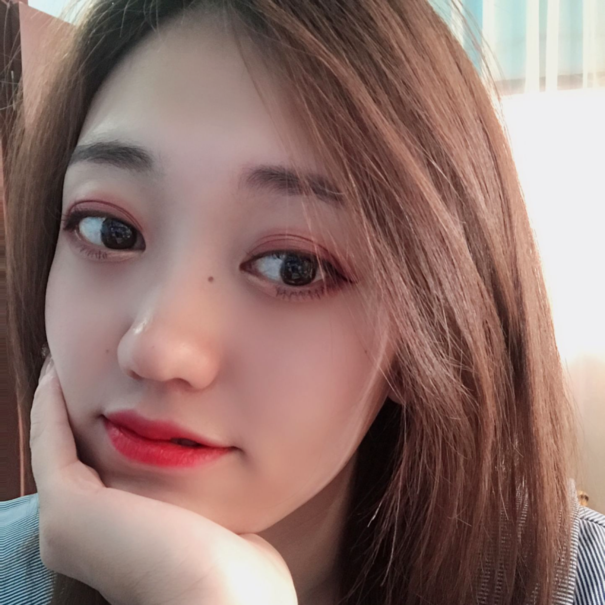 曲奇的照片