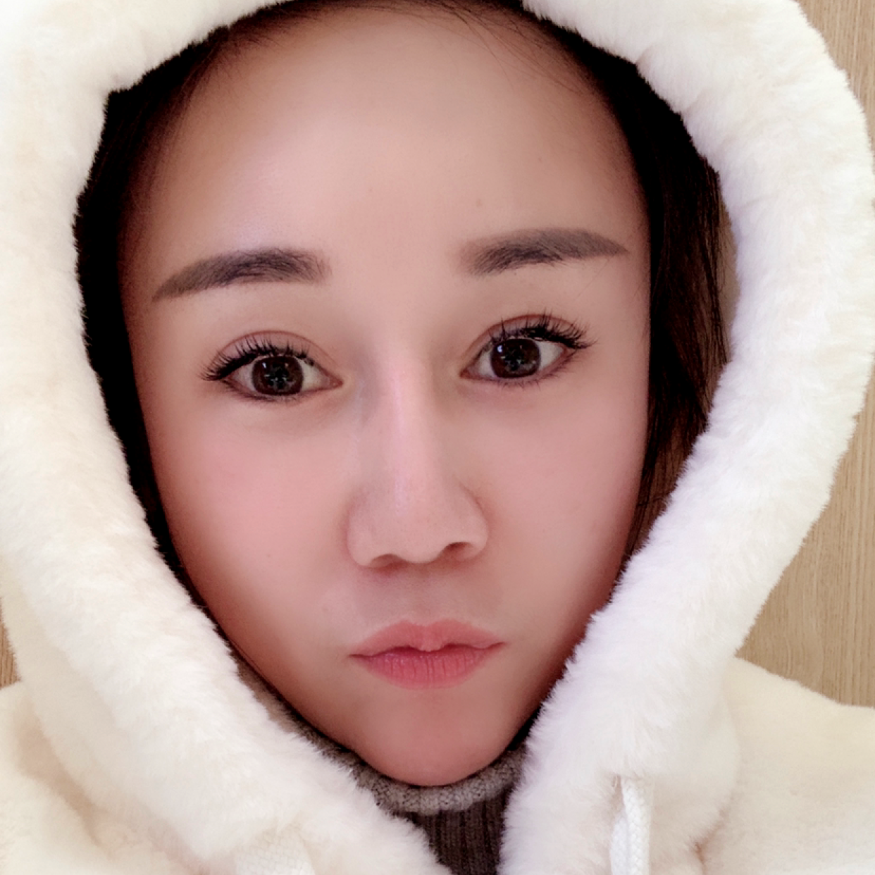 孤独和小海豚的照片