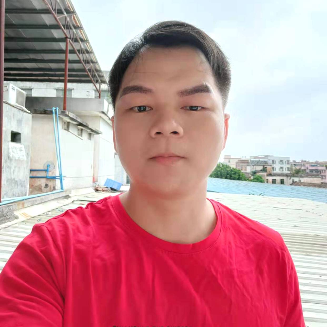 向日葵相许彩色的照片