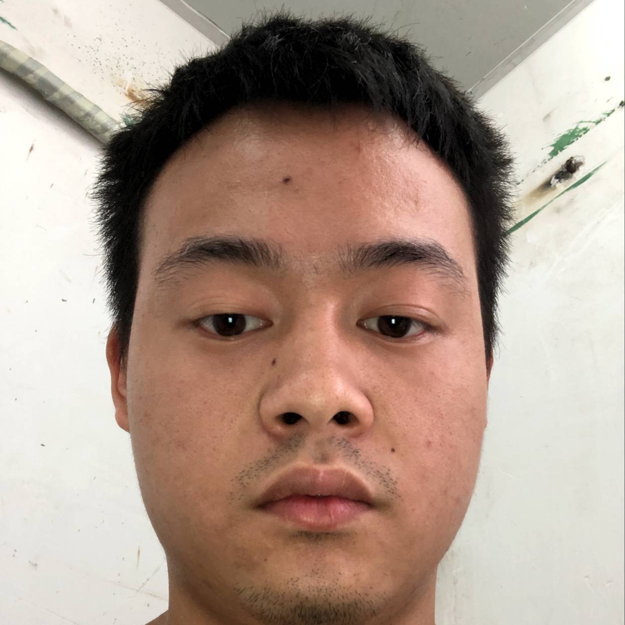 栖息啊的照片