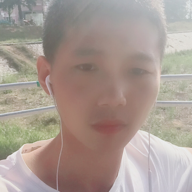 义气笑黄蜂的照片