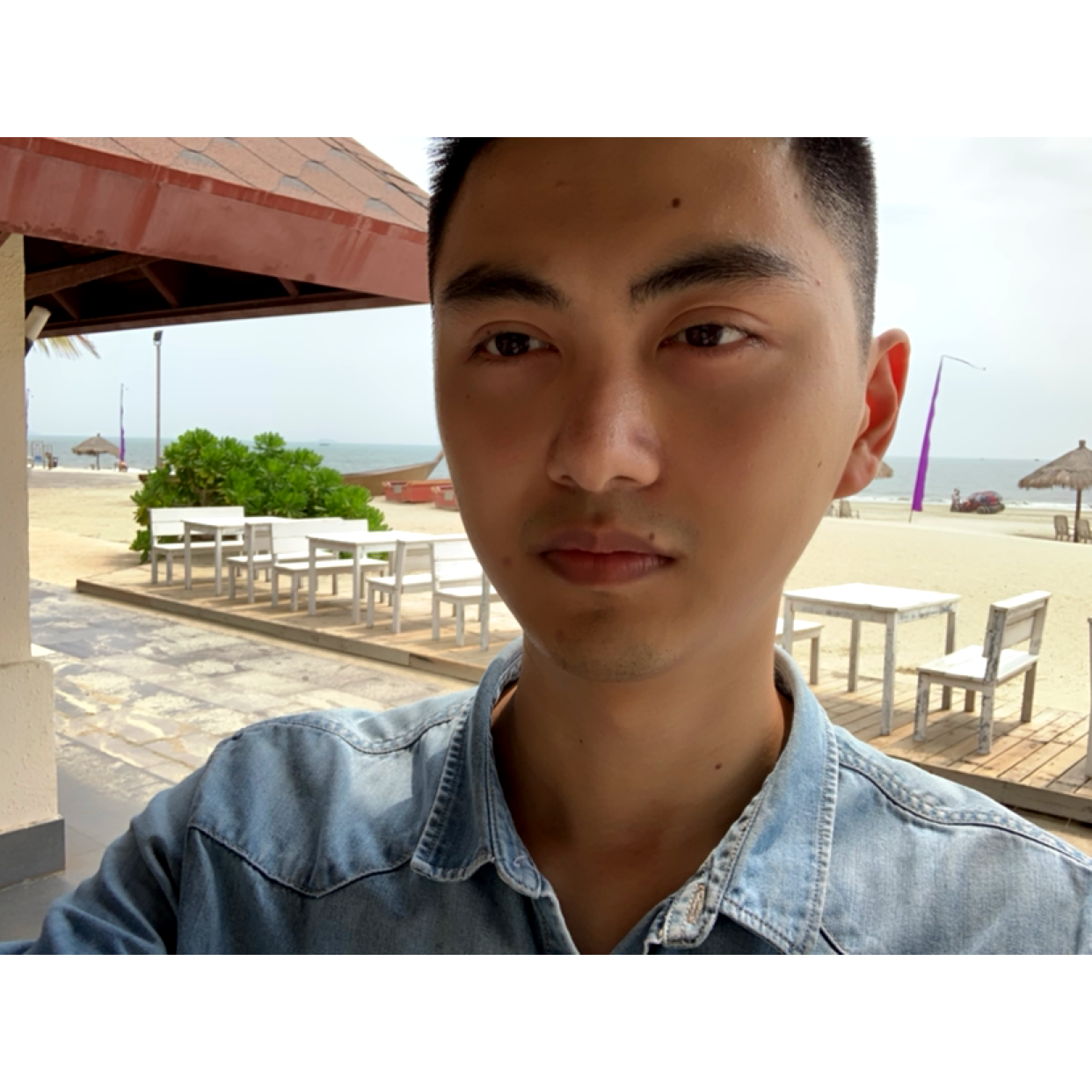 鸭子拿含蓄的照片