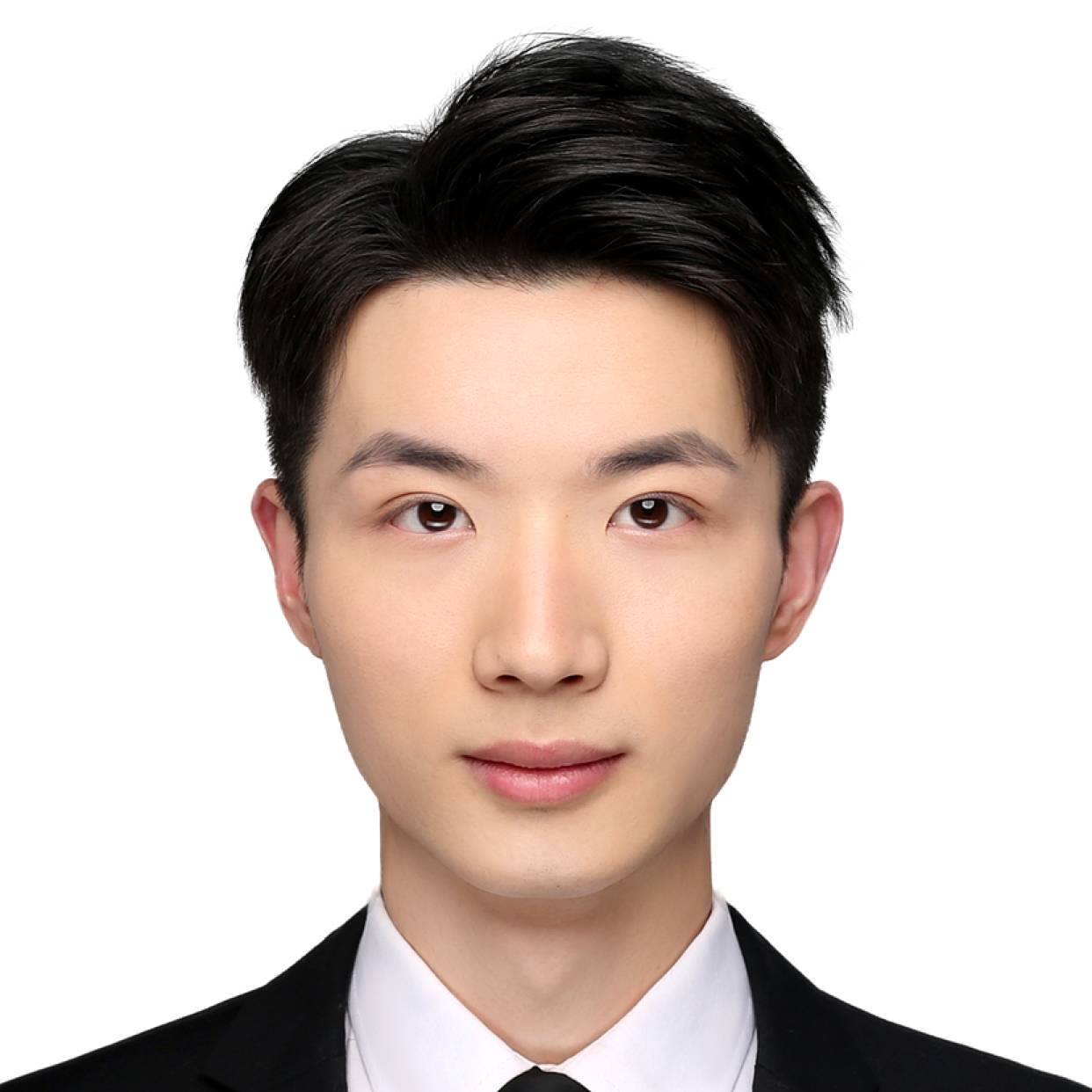 小懒虫与鳗鱼的照片