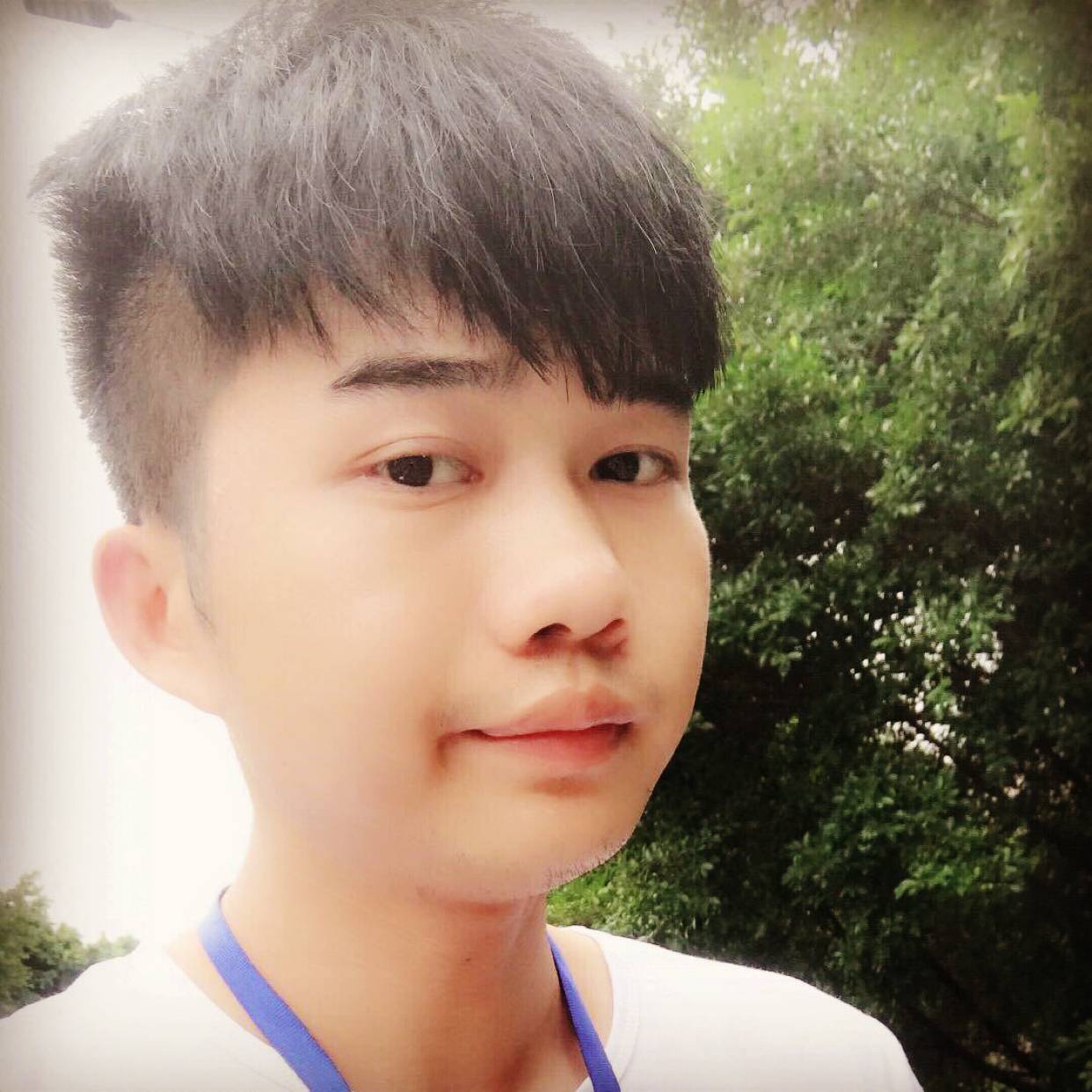 今晚打老虎的照片