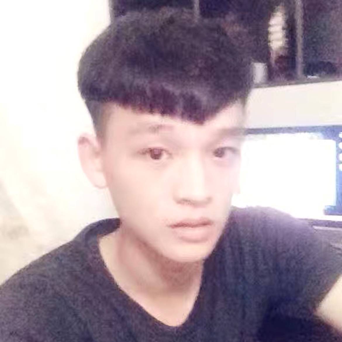 太阳瓜的照片