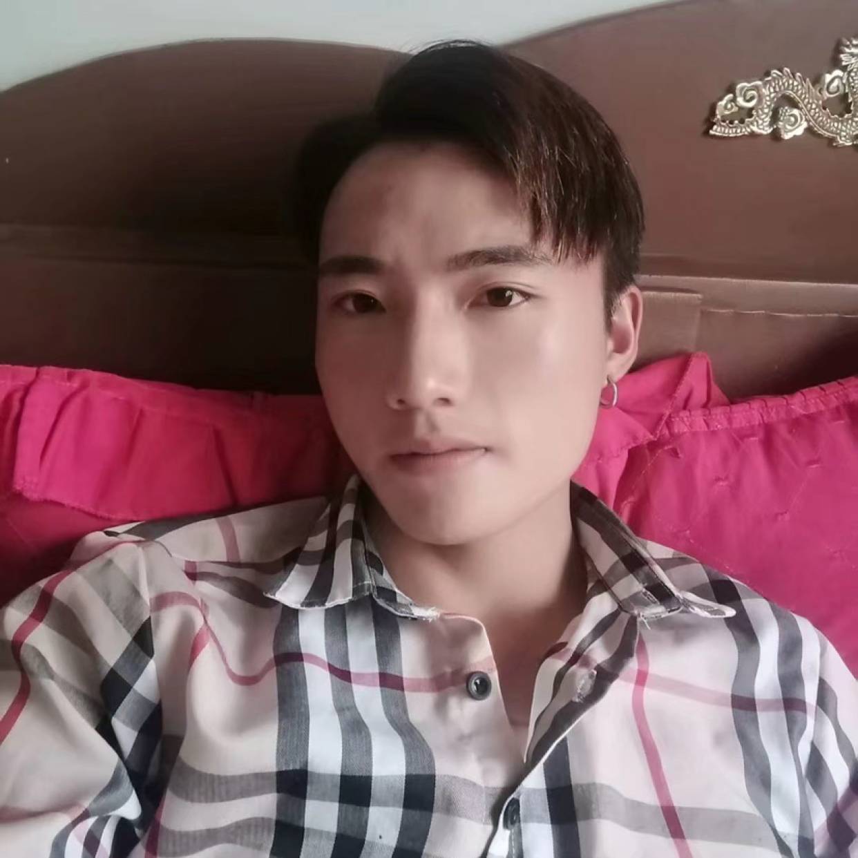奇异果迎丰富的照片