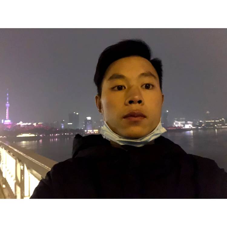 樱花的照片