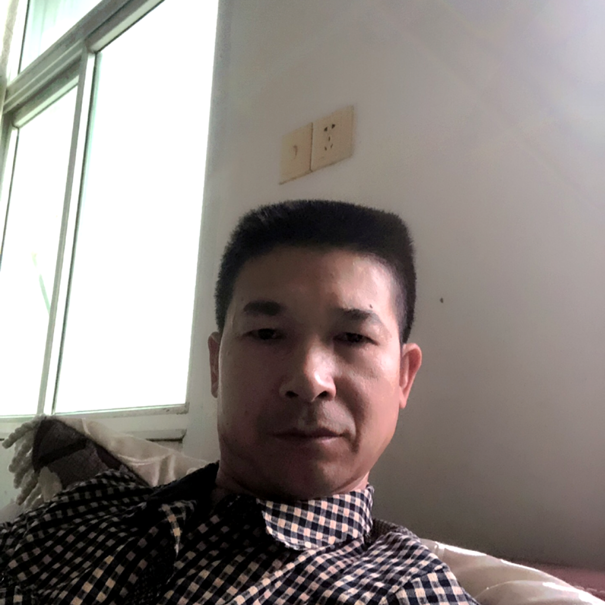 美丽闻小鸽子的照片