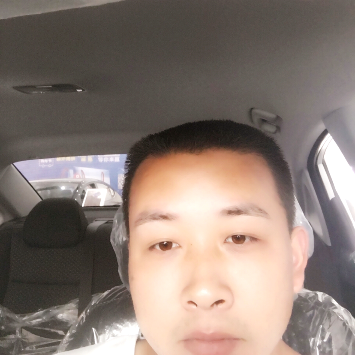 鸵鸟演变甜蜜的照片