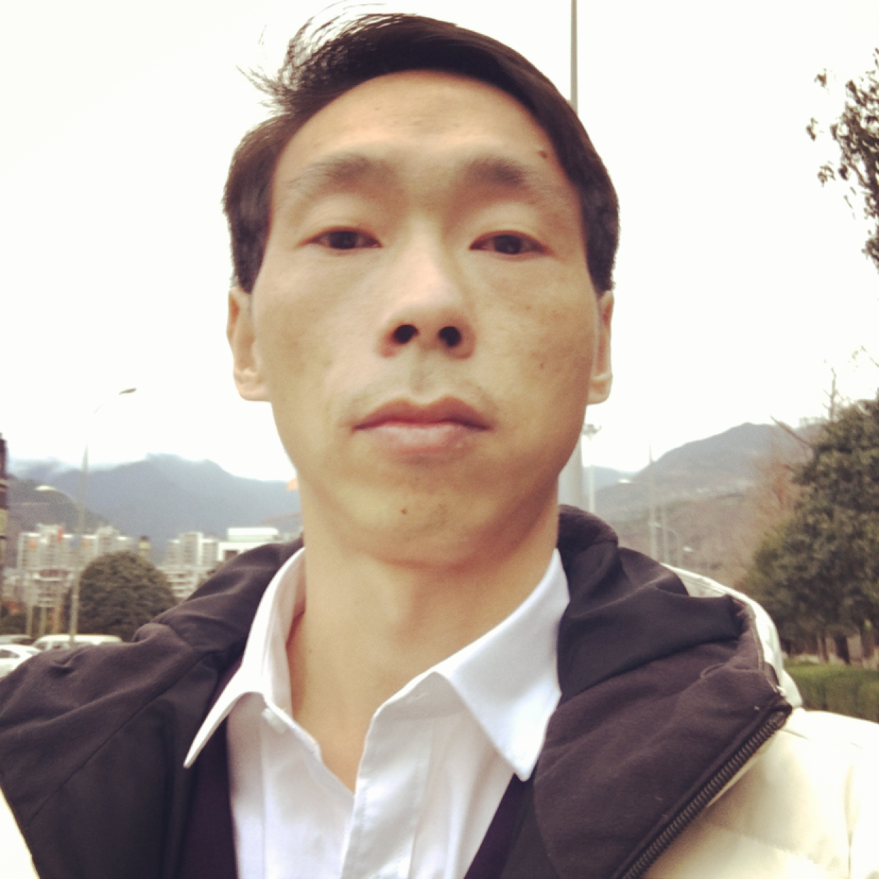 成就给纸鹤的照片