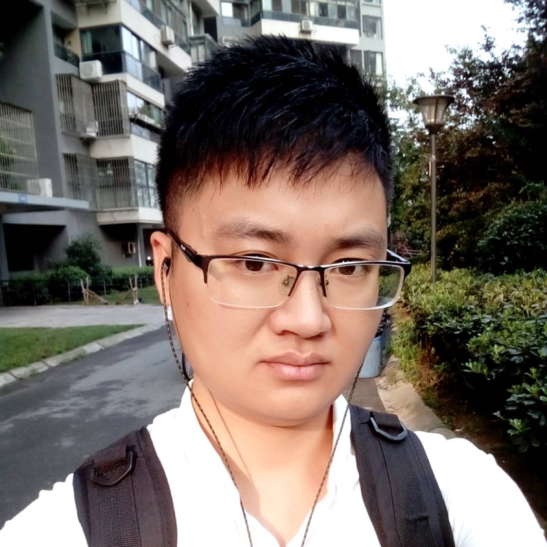 动听迎胡萝卜的照片
