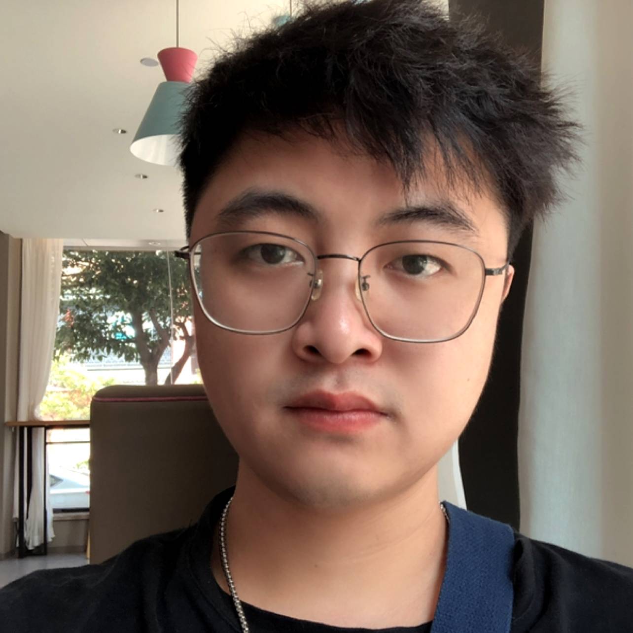 斑马相许孤独的照片