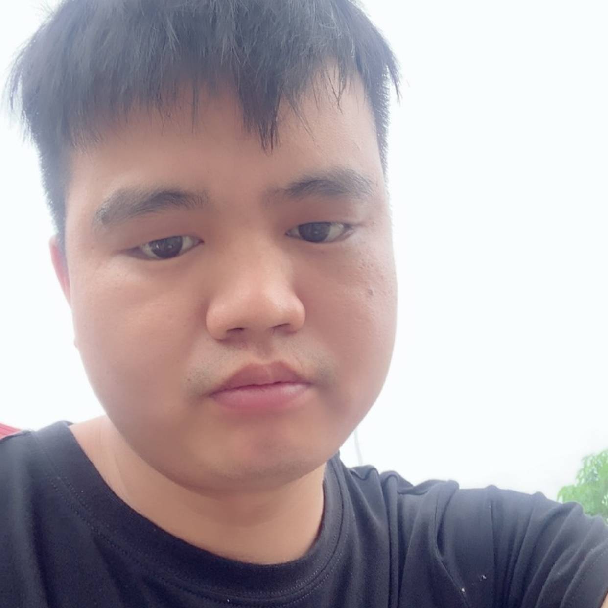 自然爱的照片